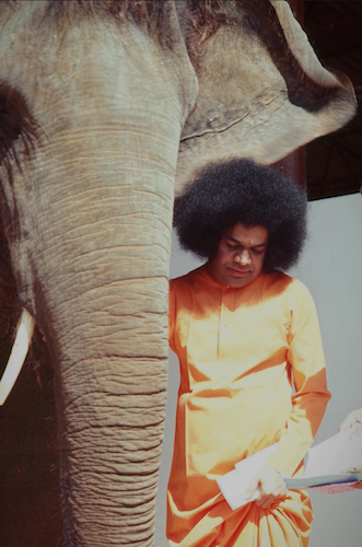 Beloved Bhagawan Sri Sathya Sai Baba